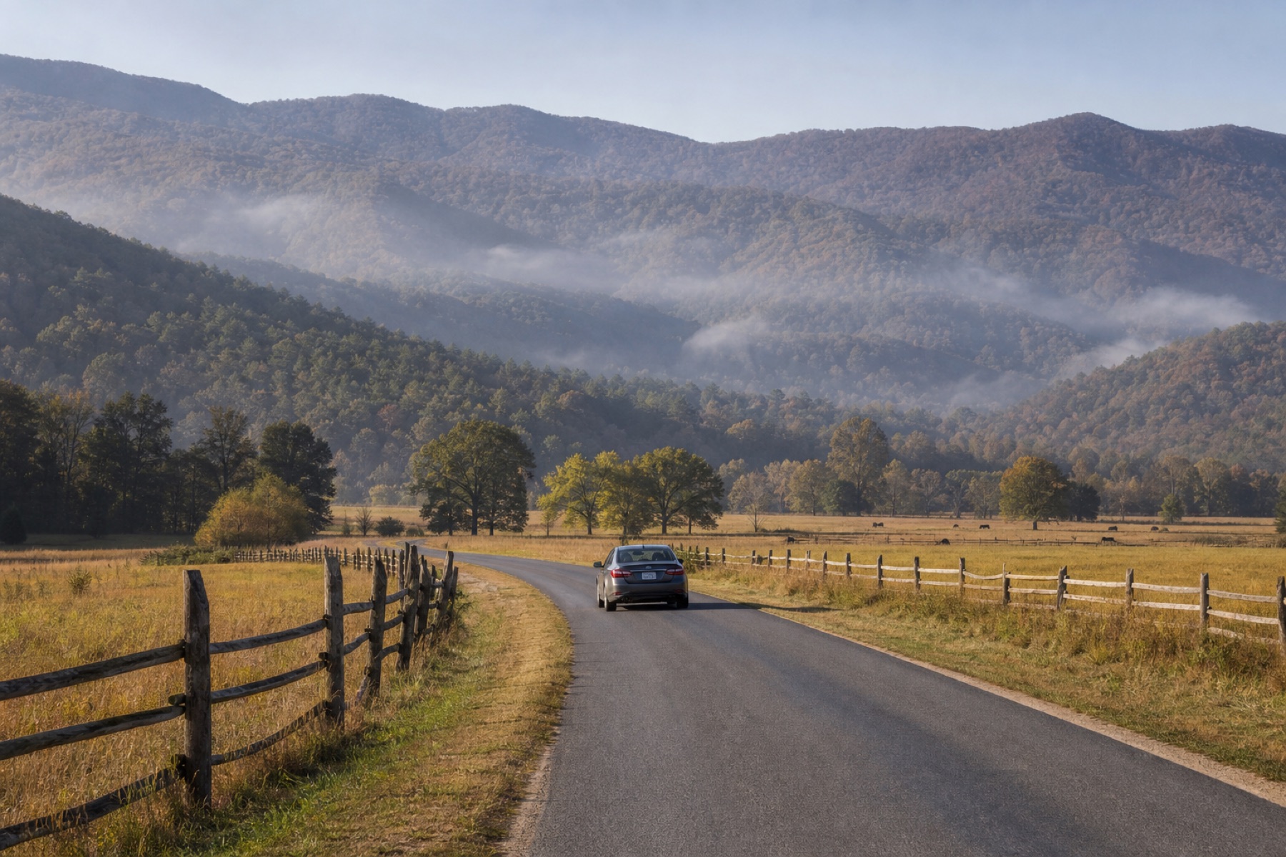 A car traveling through the Cades Cove valley beneath misty Smoky Mountain ridges